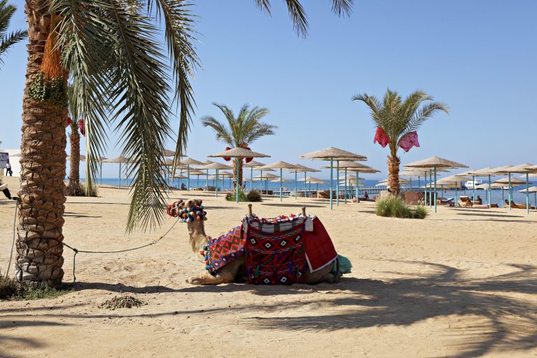 8 dagen genieten in Egypte