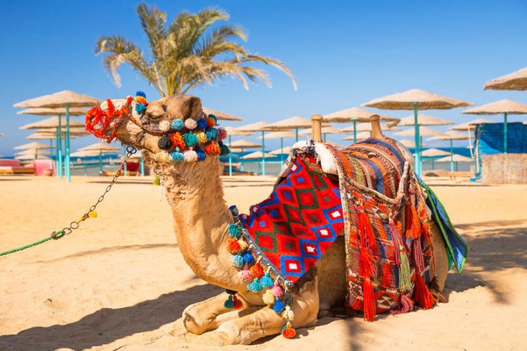 Last Minute – Hurghada – 5* All inclusive in Juli