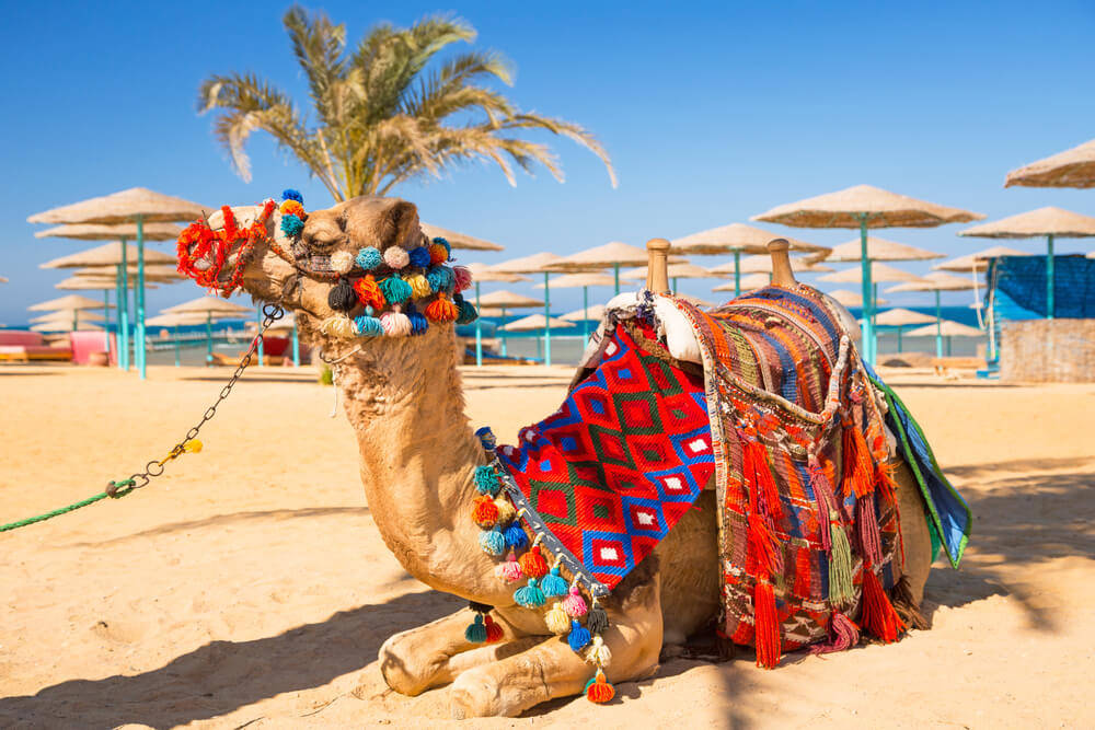 Last Minute –  Hurghada – 5* All inclusive in Juli