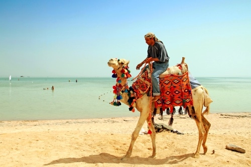 Genieten van een all-in luxe 4* WINTERZON vakantie in het aangename EGYPTE
