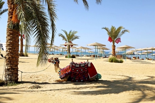 Heerlijk GENIETEN in all-in LUXE 5-sterren hotel in TUNESIË. Incl. vluchten