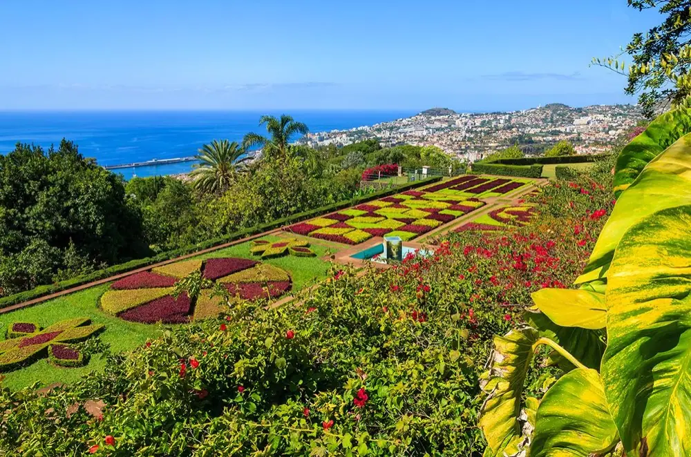 Fly & Drive Madeira Charms of Madeira – Inclusief huurauto